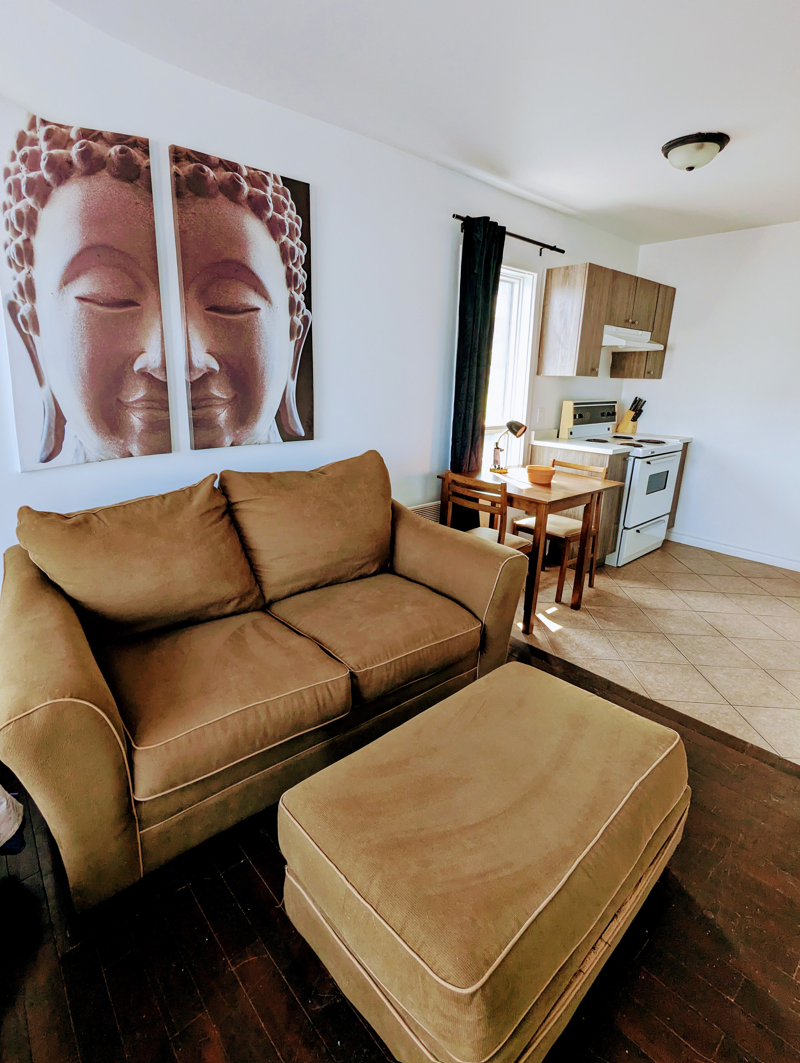 Appartement 1 ½ - LogÉtudes